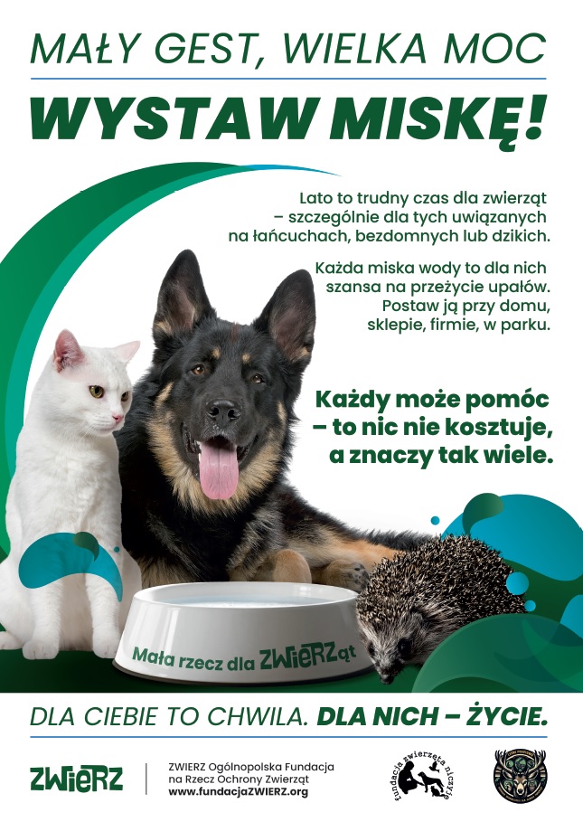 wystaw miskę