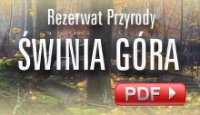 Rezerwat Przyrody Świnia Góra